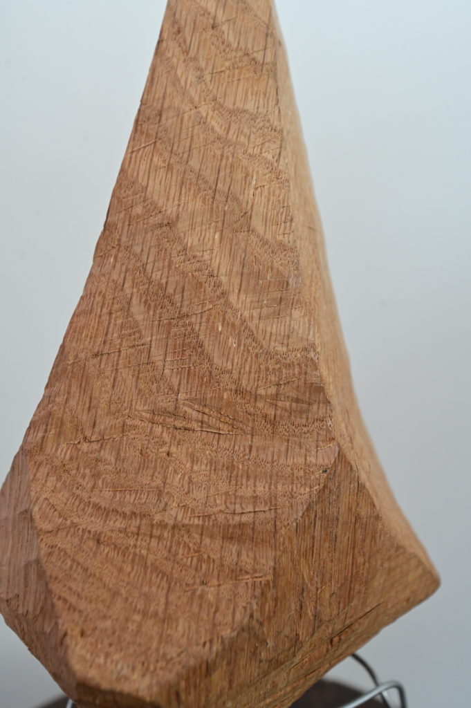 detail of white oak wood