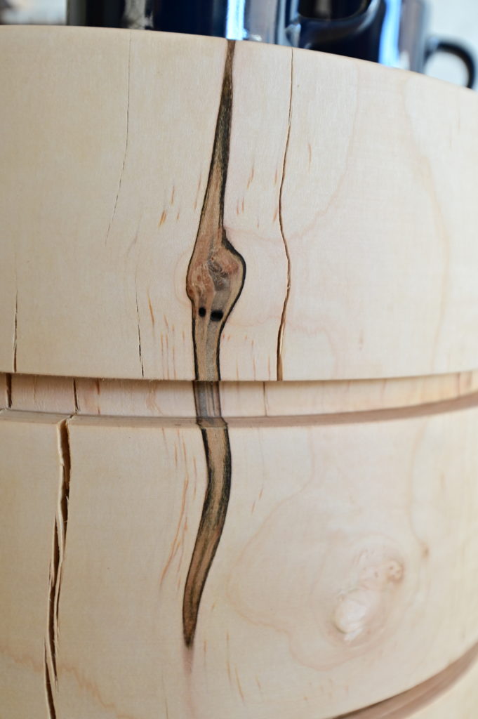 detail of bug holes in maple wood, which leads to ambrosia